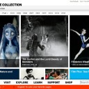 Le Moma multiplie les initiatives autour de la vidéo