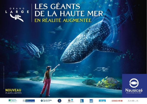 Aquarium de Lyon : trois bébés requins d'une espèce quasi menacée sont nés,  un grand et rare évènement