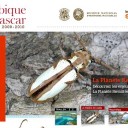 Planète Revisitée : immersion dans une expédition soutenue par le MNHN
