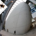 La carte NaturePlus du Natural History Museum prolonge la visite