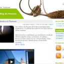 Concours de souvenirs au Museum de Toulouse