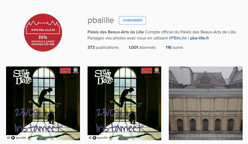 FireShot Screen Capture #089 - 'Palais des Beaux-Arts de Lille (@pbalille) • Photos et vidéos Instagram' - www_instagram_com_pbalille