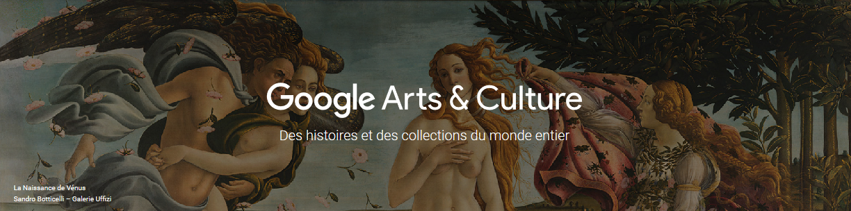 FireShot Screen Capture #857 - 'Google Arts & Culture' - www_google_com_culturalinstitute_beta__hl=fr