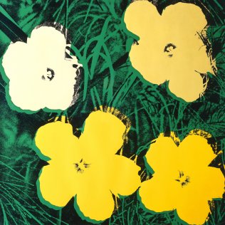 Groninger Boterbloemen+Warhol_flowers