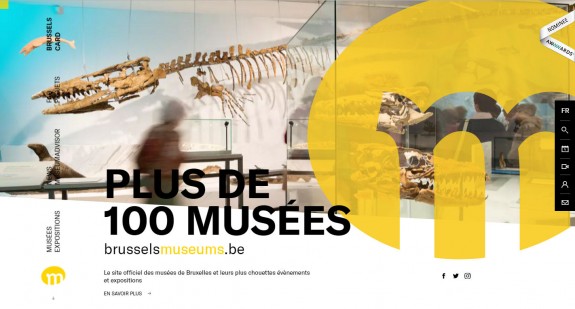 Capture d'écran homepage © Conseil bruxellois des Musées