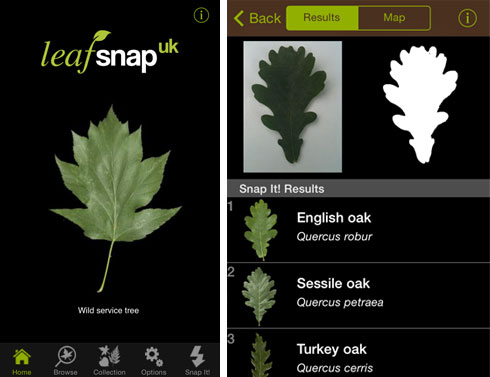 NHM UK appli leafsnap-app_130905_2