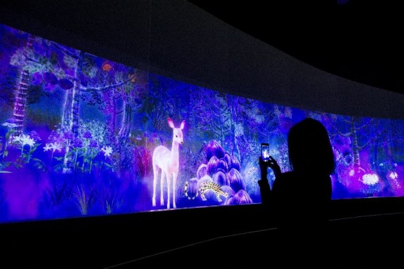 National Museum of Singapore story of forest teamLab 10