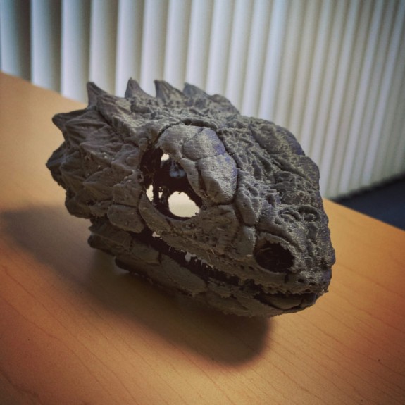 3-D printed skull of giant girdled lizard, Smaug giganteus.
