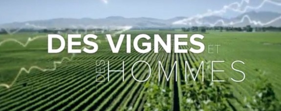 arte cite vin des-vignes-et-des-hommes-arte-1000x395