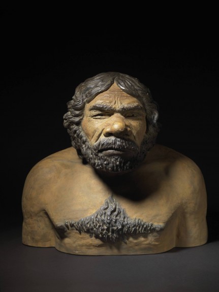 Buste de Neandertal © RMM