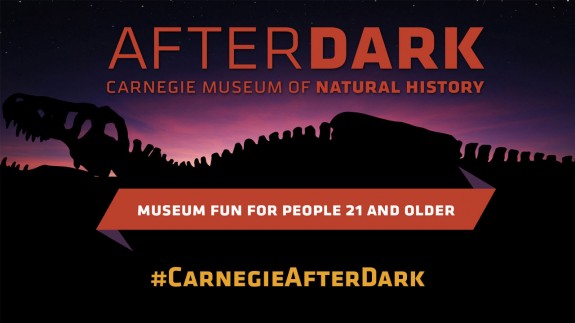 carnegie museum after dark banner