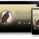 field guide nt