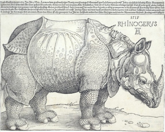 met archives org rhinoceros-durer-met-1