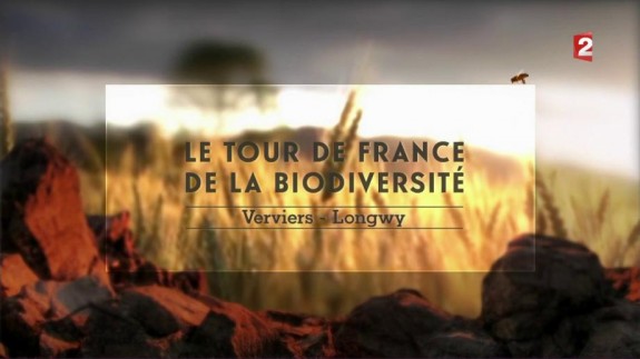 mnhn le-tour-de-france-de-la-biodiversite-episode-3