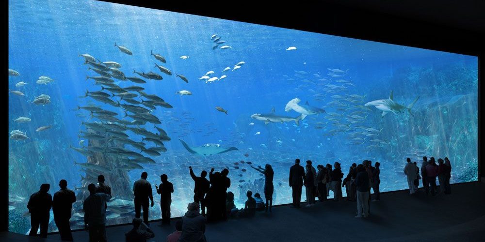 Nausicaa, le Centre de la Mer de Boulogne, devient le quatrième aquarium du Monde et vise 1
