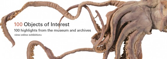 royal bc museum site 100objects banner