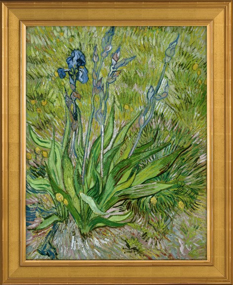"Les Iris" de Van Gogh reproduit par Verus Art